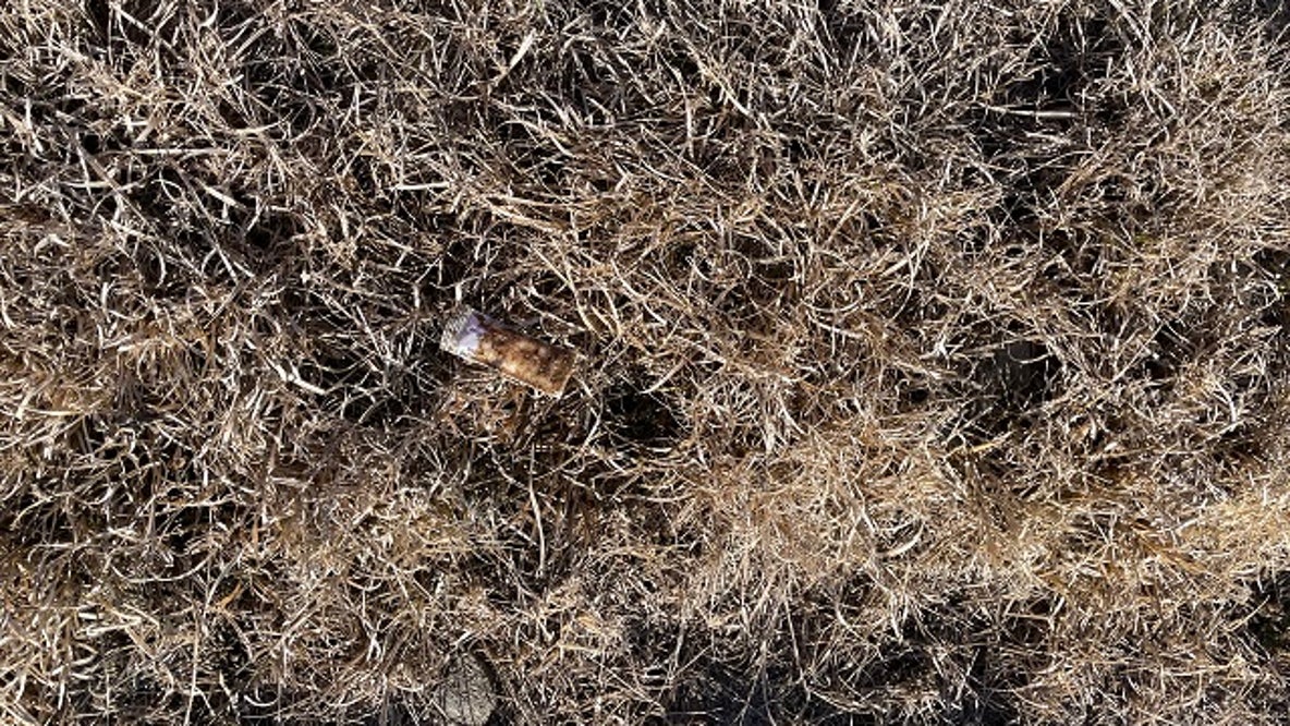 Oral rabies vaccinations will be dropped from planes, hand distributed in far West Texas