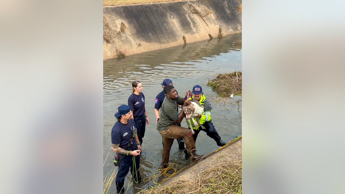 Sugar Land Fire Department assists in rescue of dog that fell into a bayou