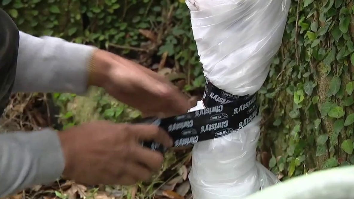 Houston repair team preps sprinklers for weekend freeze