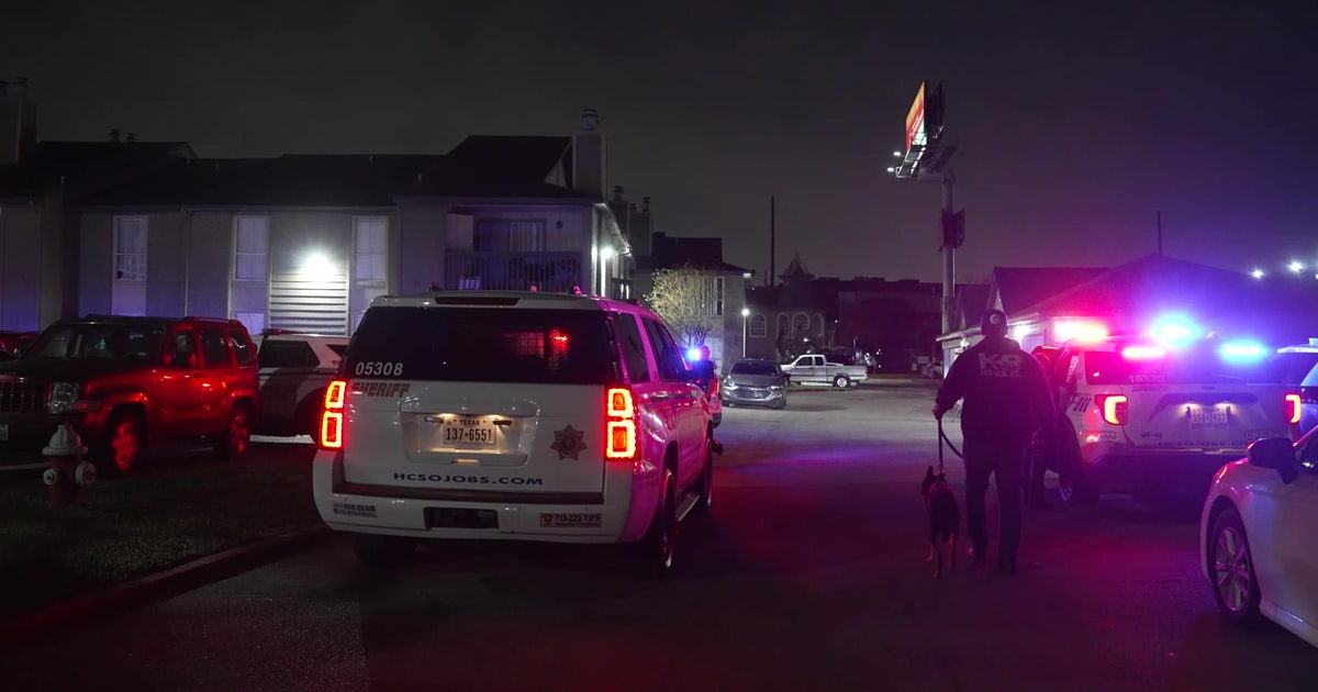 Mother claims she shot man to protect her teen son: HCSO | FOX 26 Houston
