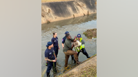 Sugar Land Fire Department assists in rescue of dog that fell into a bayou