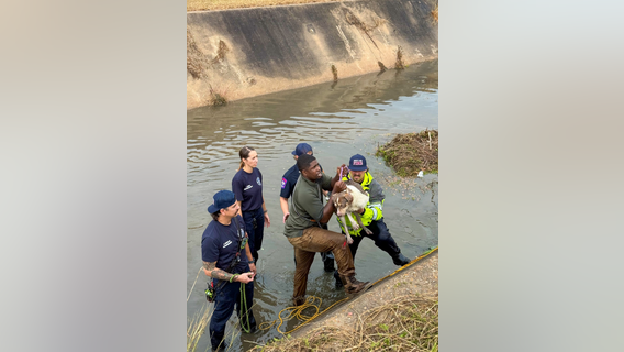 Sugar Land Fire Department assists in rescue of dog that fell into a bayou