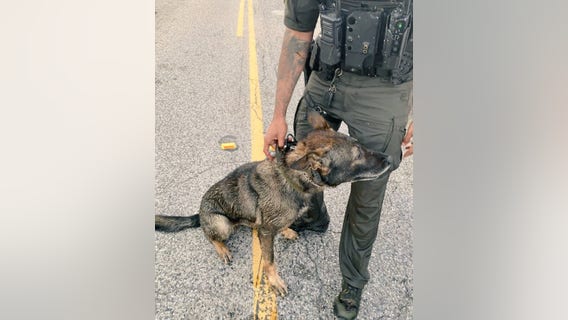 Harris County K-9 injured after suspect attempted to drown dog during pursuit