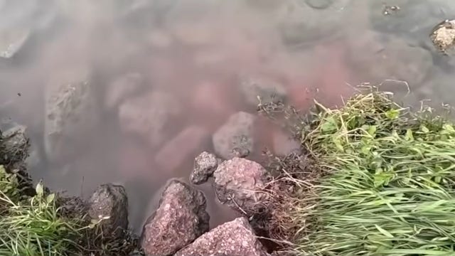 Houston Police: Sewage flowing from online grocery giant into Brays Bayou