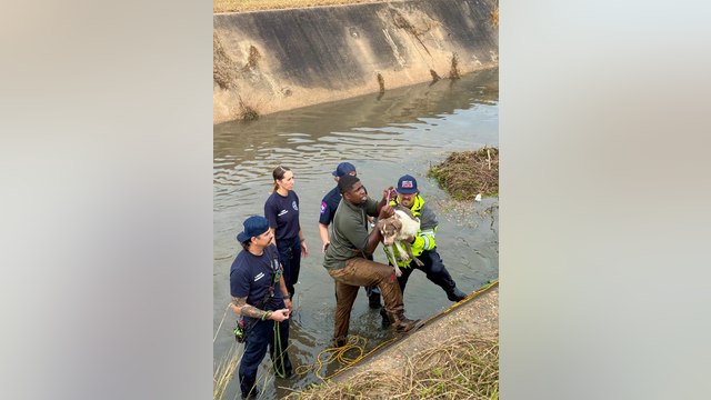 Sugar Land Fire Department assists in rescue of dog that fell into a bayou