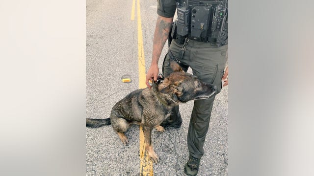 Harris County K-9 injured after suspect attempted to drown dog during pursuit