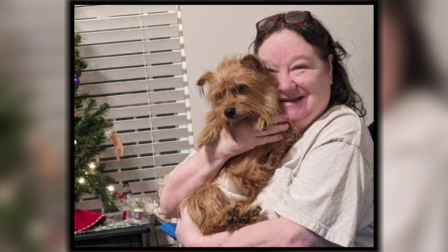 79-year-old woman watches in horror as terrier mix she's walking is mauled to death by pit bull