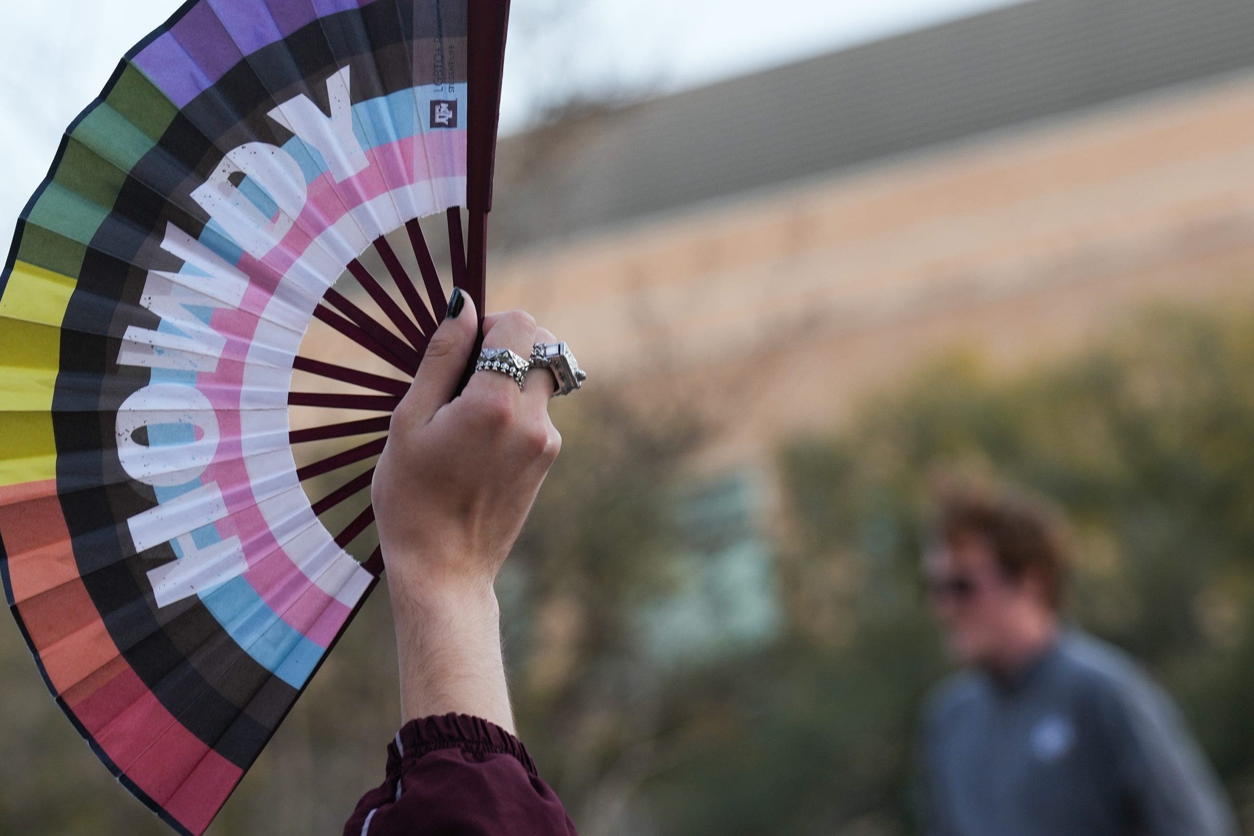 Professor fired after Texas A&M gender lesson controversy sues school