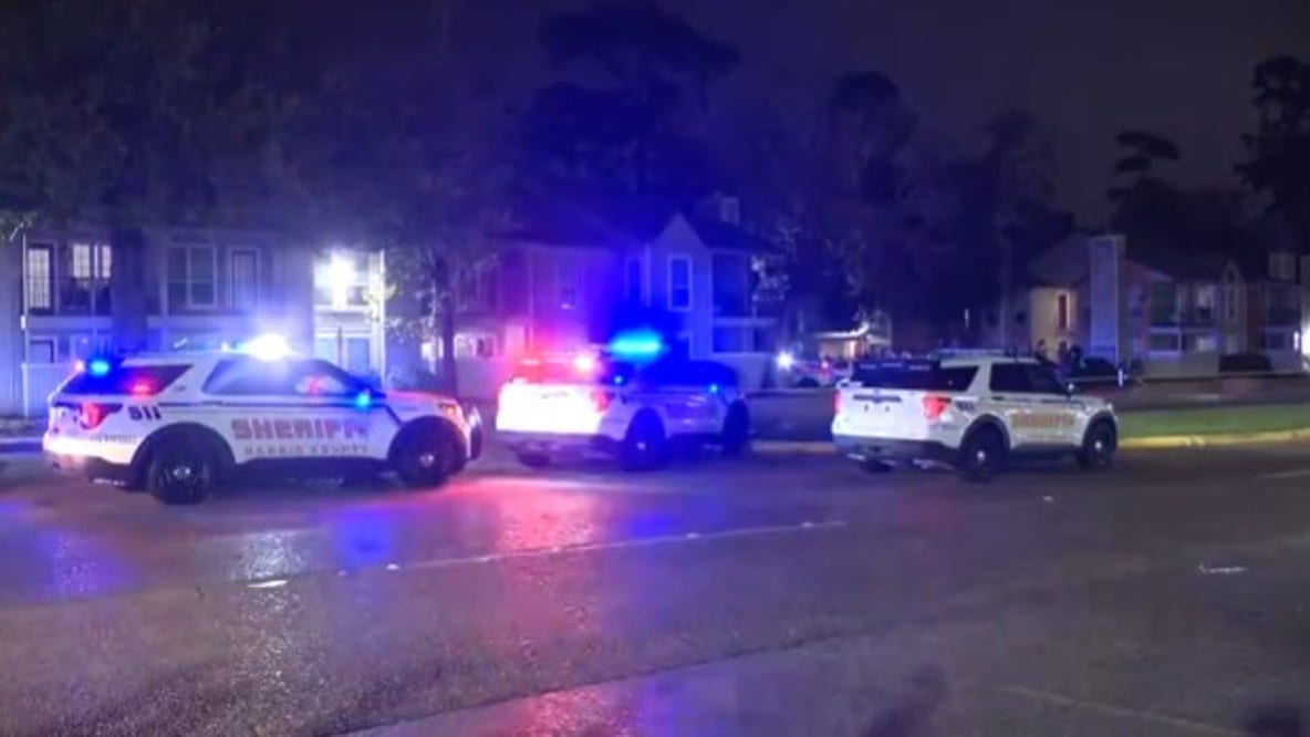 Man killed in east Harris County hit-and-run