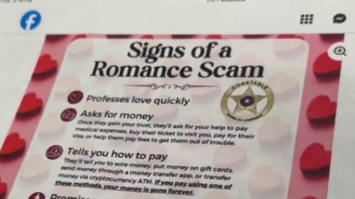 Animal shelter in Dickinson offering unconditional love for just $14 this Valentine's Day