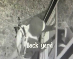 Burglars targeting homes in Creekside Park area, families on edge