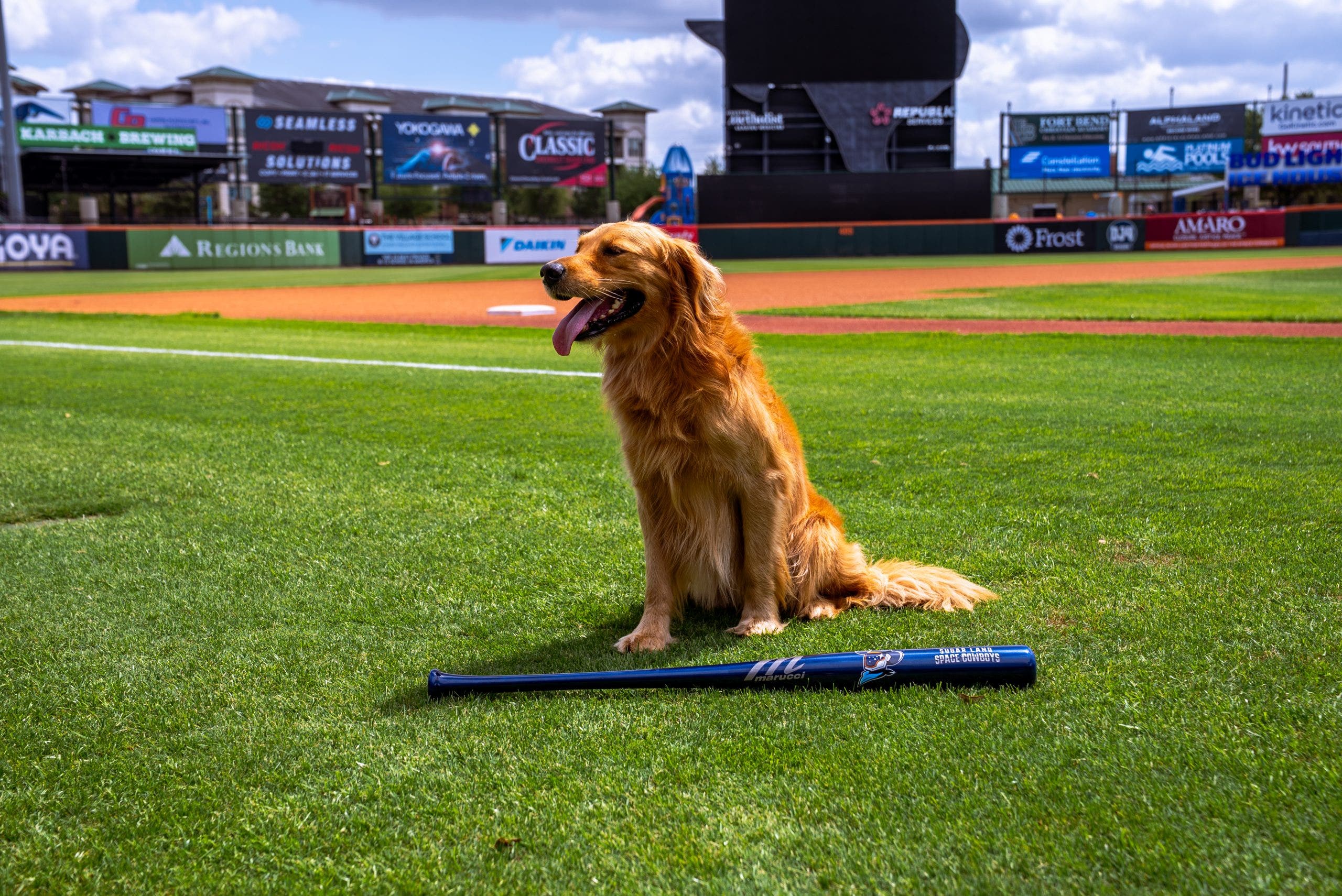 Meet Muffin: Sugar Land Space Cowboys debut new bat dog for 2026 season