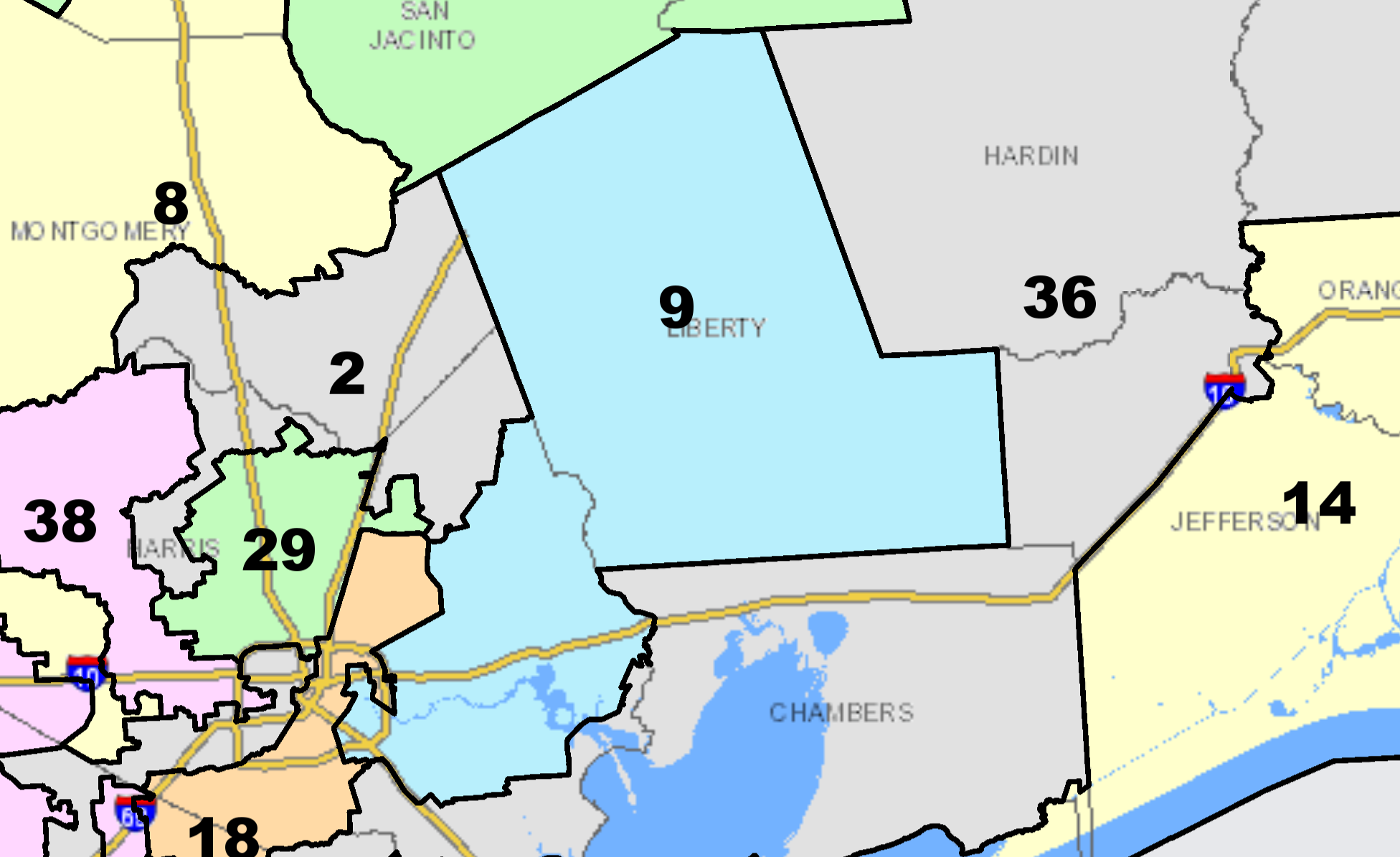 U.S. representative for Texas’ 9th Congressional District: Primary election results