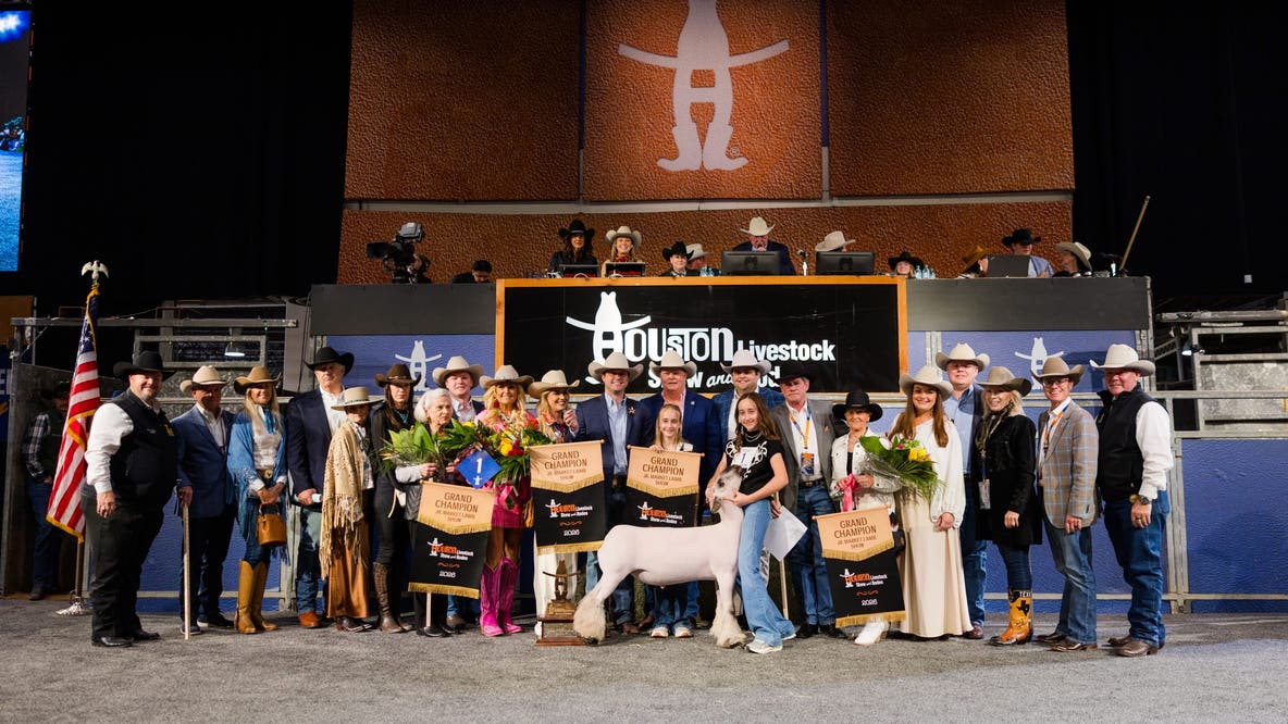Winning Houston Rodeo lamb auctioned for record $1 million