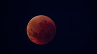 Total lunar eclipse in Texas: Here's when you can see it