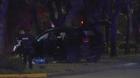 1 killed after car hits tree in Braeswood