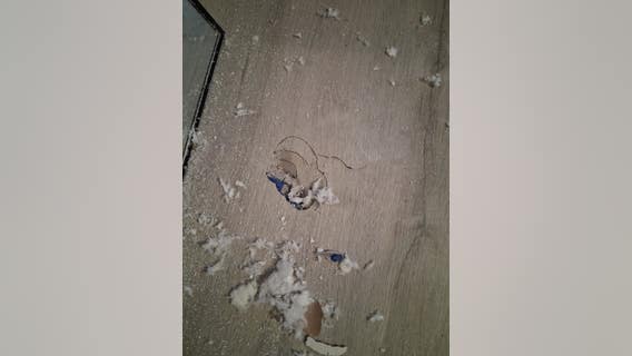 Suspected meteorite crashes into Houston woman's home amid citywide reports of 'boom'