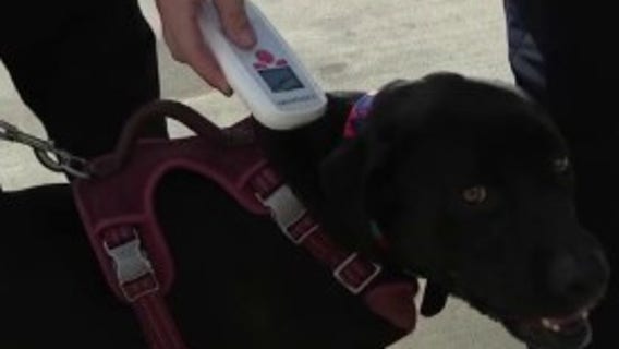 Harris County Veterinary Health expands program with fire departments to help get lost pets back home