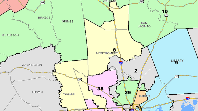 U.S. representative for Texas’ 8th Congressional District: Primary election results