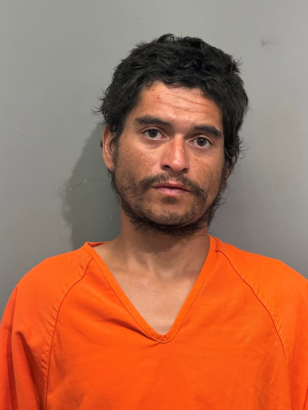 Harris County crime: Man arrested, accused of stealing 11 plants from business