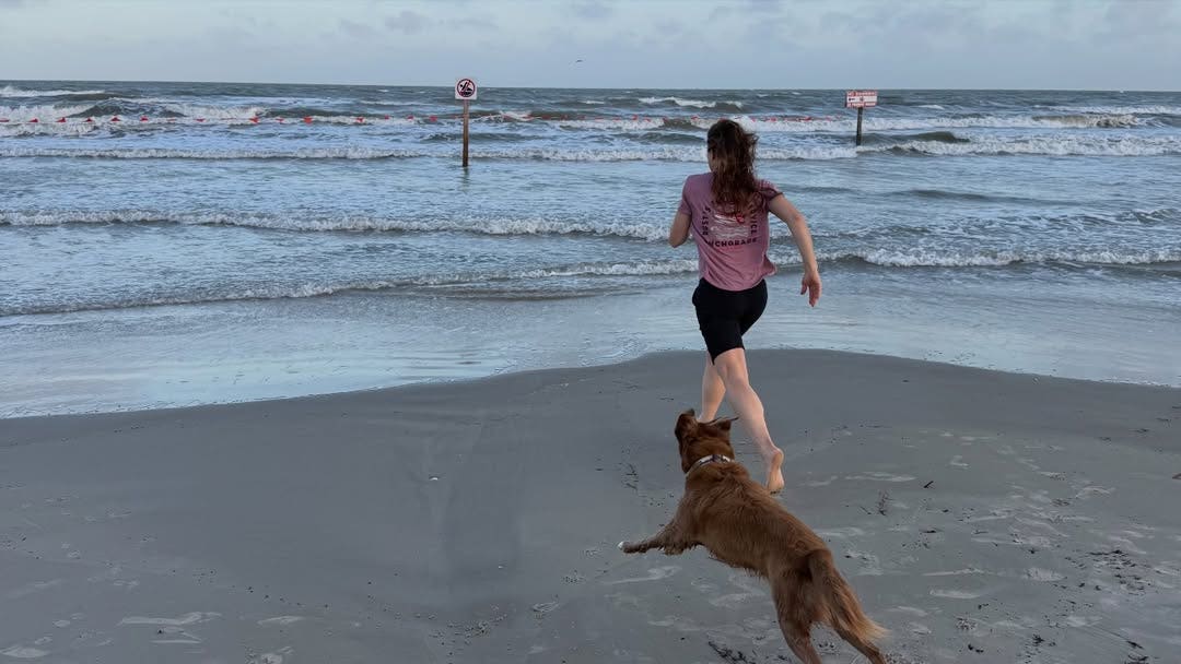 Over the moon: Watch Astronaut Christina Koch reunite with dog after lunar mission