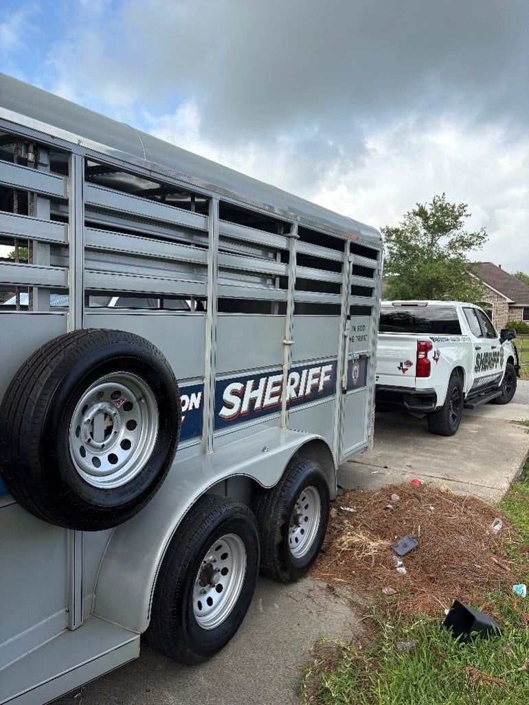 Santa Fe arrest: 2 people charged during child exploitation investigation, animal abuse case