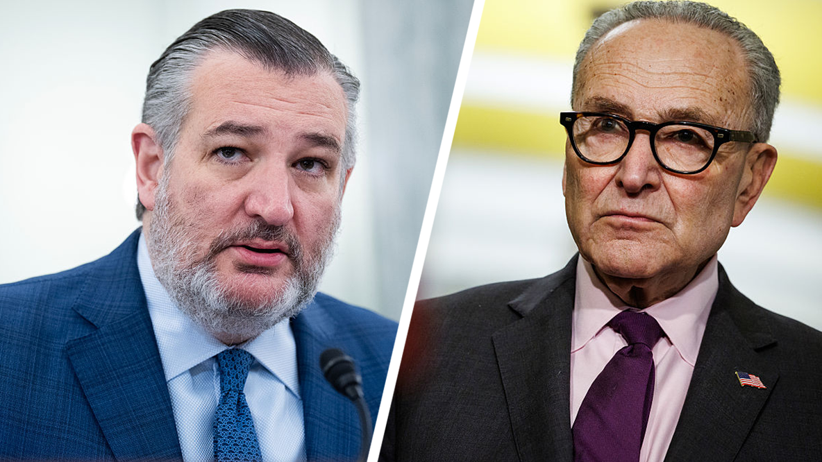 Cruz predicts Democrats could force government shutdown ahead of midterms