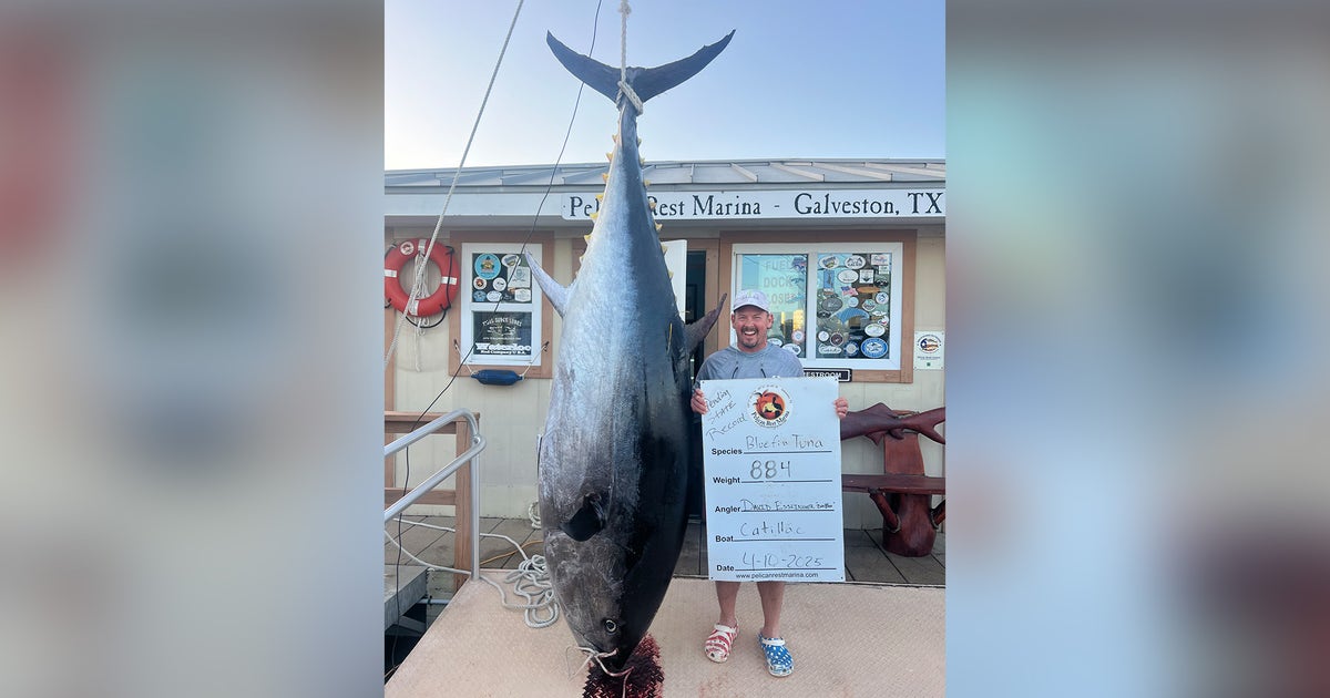 Houston man sets state record with 884-pound Blue Fin Tuna catch