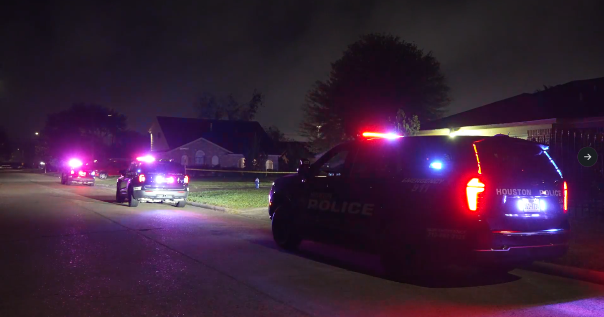 Houston man accused of beating mother for hours, threatening father at gunpoint