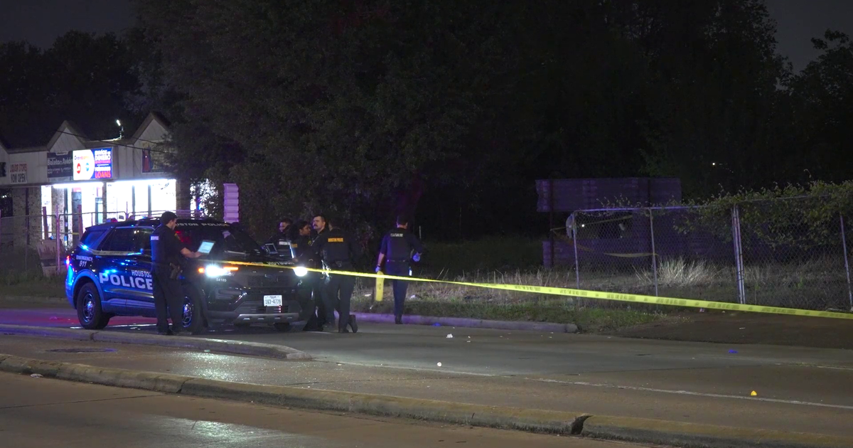 Houston police sergeant fatally shoots man after traffic stop leads to fight