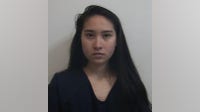 North Carolina woman, Houston-area teen accused of plot against Congregation Beth Israel