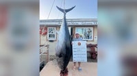 Houston man sets state record with 884-pound Blue Fin Tuna catch