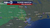 HOUSTON RADAR: Isolated storm chances for Sunday