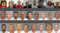 ICE Houston arrests 277 noncitizens with criminal records in Southeast Texas operation