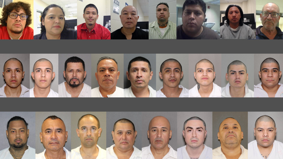 ICE Houston arrests 277 noncitizens with criminal records in Southeast Texas operation