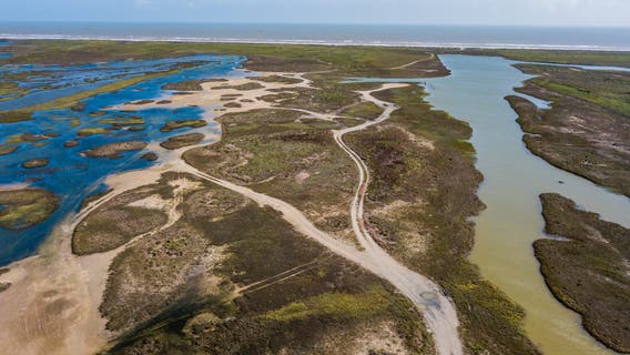 TPWD awards $3M for gulf coast shoreline protection and habitat restoration