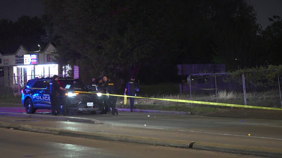 Houston police sergeant fatally shoots man after traffic stop leads to fight