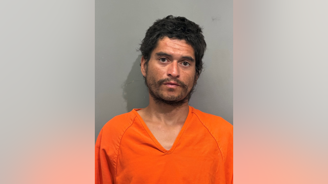 Harris County crime: Man arrested, accused of stealing 11 plants from business