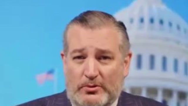 Senators Cornyn, Cruz lash out at Houston catch and release immigration ordinance