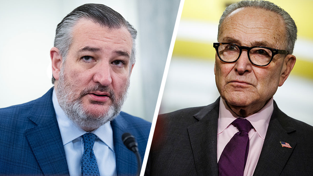 Cruz predicts Democrats could force government shutdown ahead of midterms