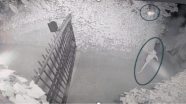 FBI raids Texas home connected to suspect in arson attack at OpenAI CEO's house