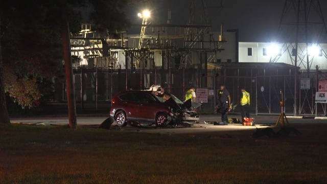 Aldine Westfield: Horse killed after vehicle crash in north Harris County