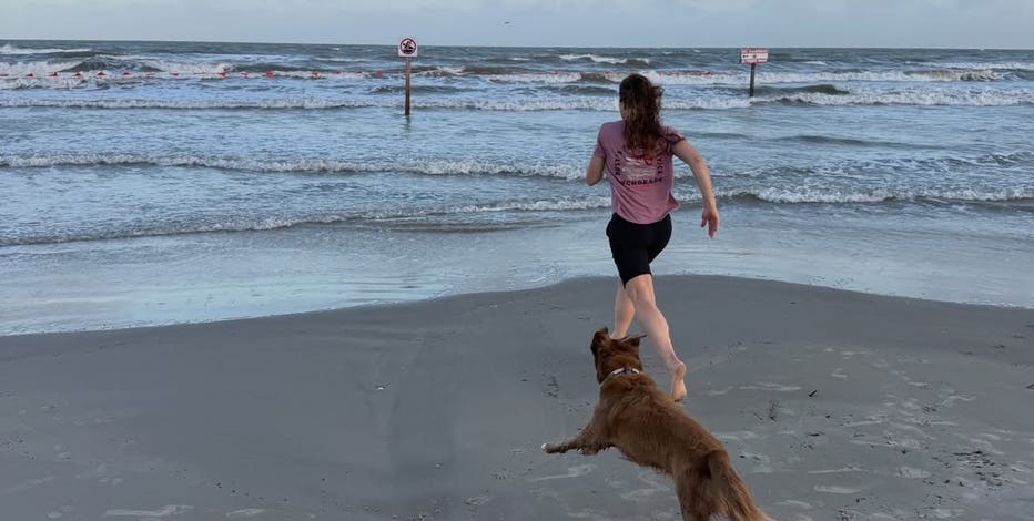 Over the moon: Watch Astronaut Christina Koch reunite with dog after lunar mission