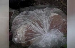 Montgomery County disturbing discovery: 2 dead dogs, pig found in plastic bags