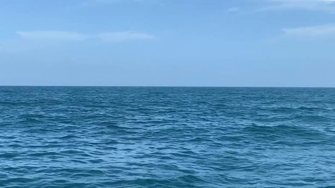 Teen hospitalized in Galveston after offshore shark bite