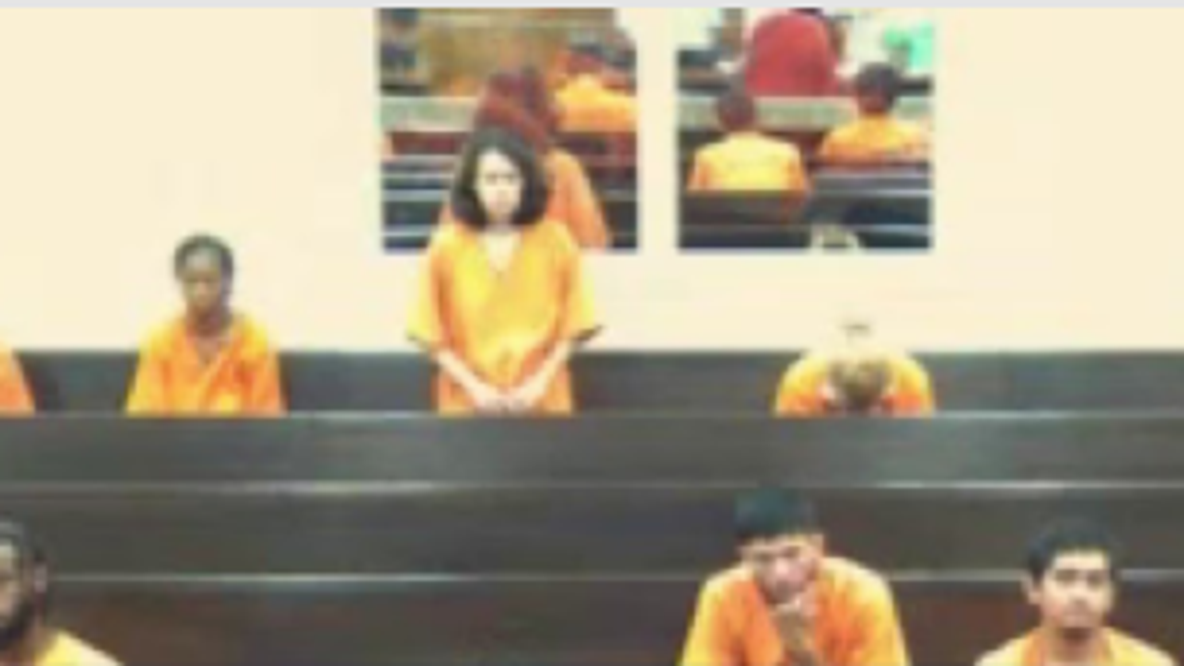 Deer Park woman charged in one of the most horrific cases of animal cruelty anyone can imagine