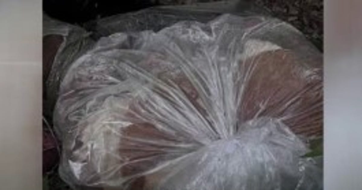 2 dead dogs, pig found in plastic bags in disturbing discovery