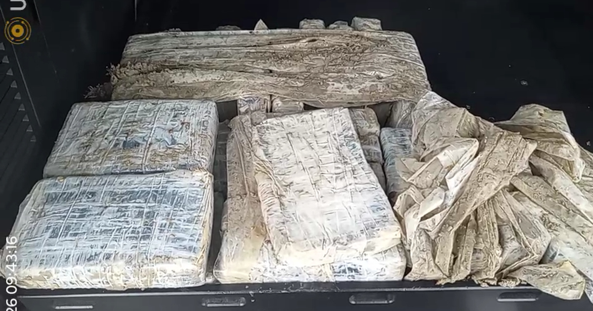 27 bricks of cocaine wash up on Galveston beach