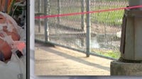 14-year-old boy hospitalized after being shocked by light pole at SE Houston park