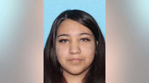 Missing teen last seen in Houston, may be in Dallas